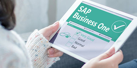哲訊SAP Business One二次開發(fā)：解鎖潛力，實(shí)現(xiàn)定制化需求